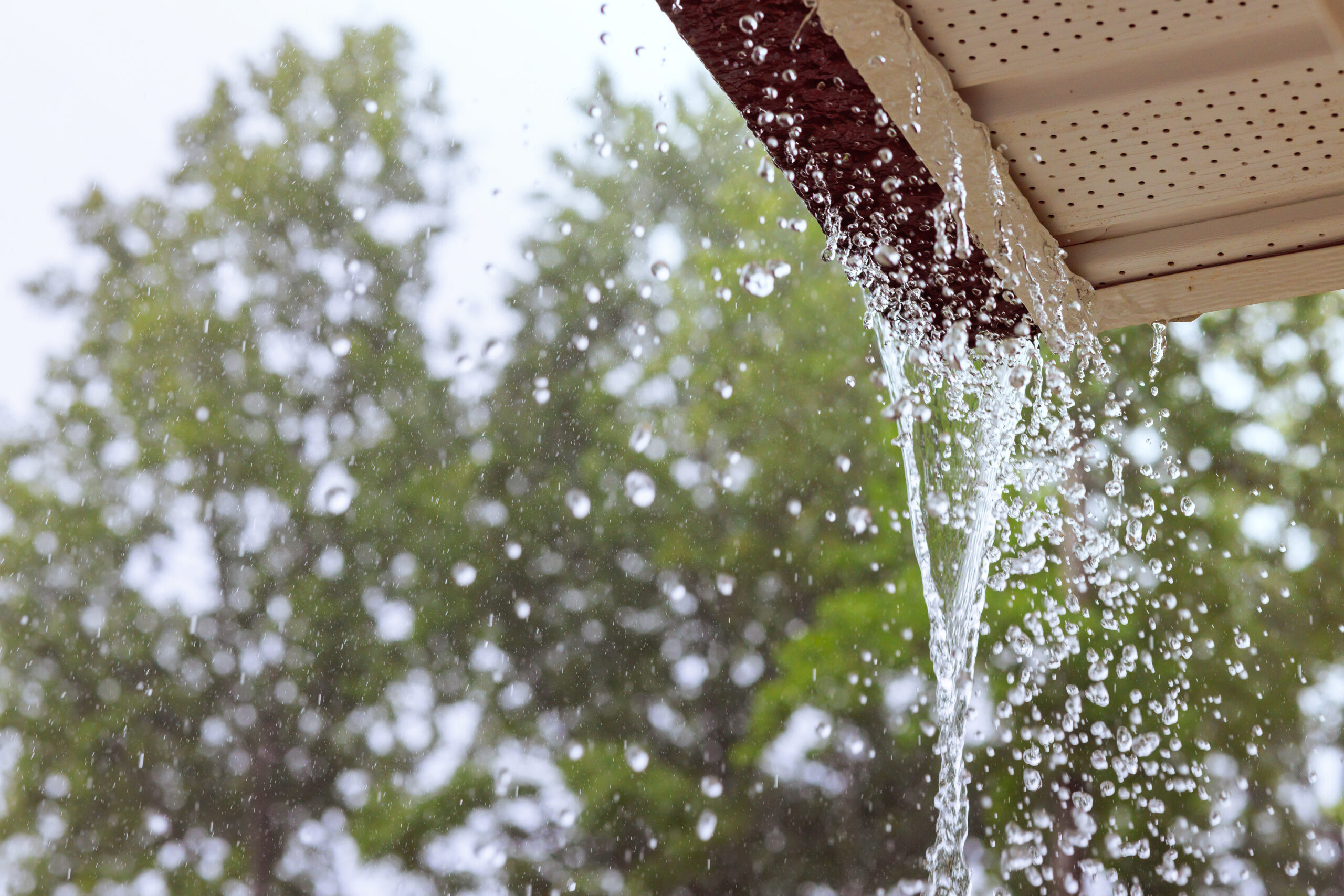 Gutter Options | Sunny Roofing