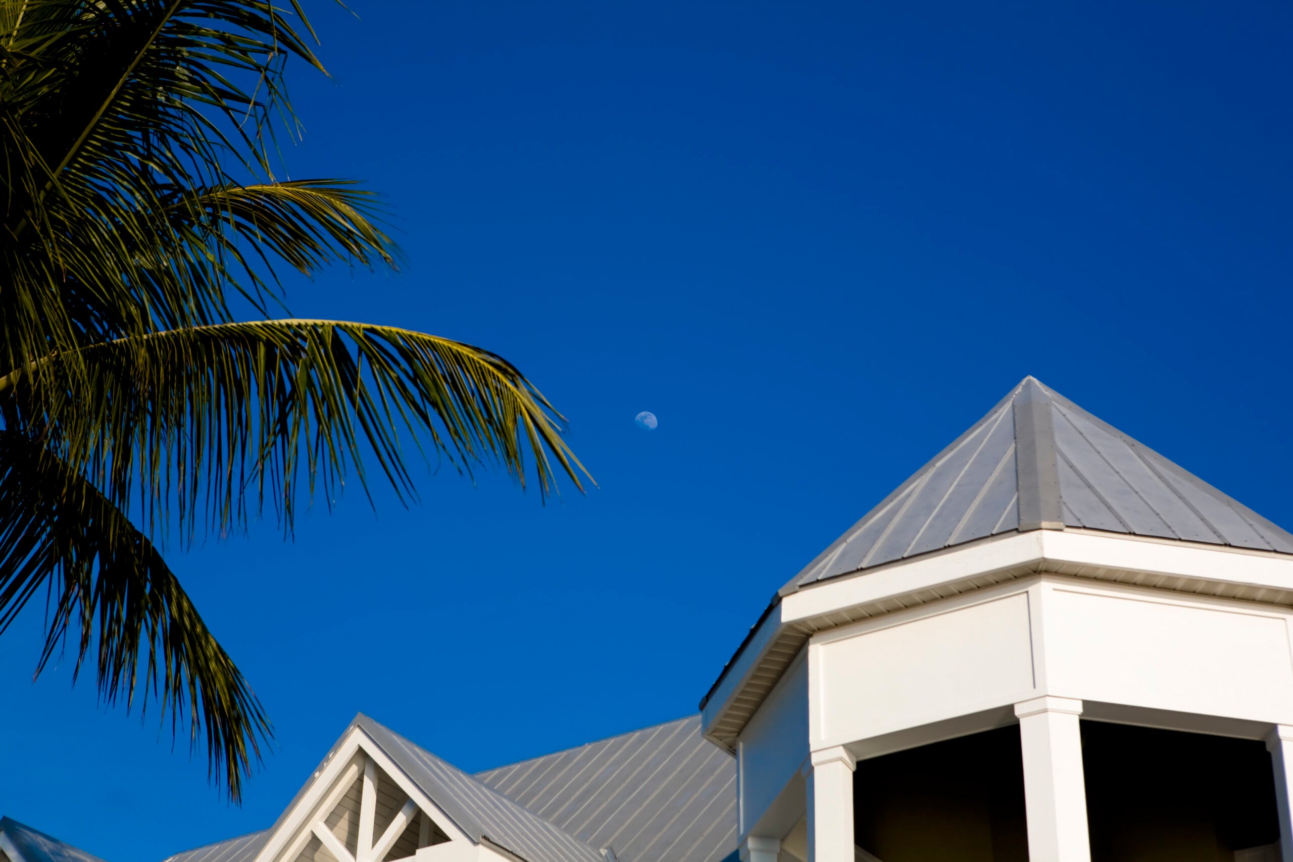 Metal Roof vs. Shingle Roof | Sunny Roofing