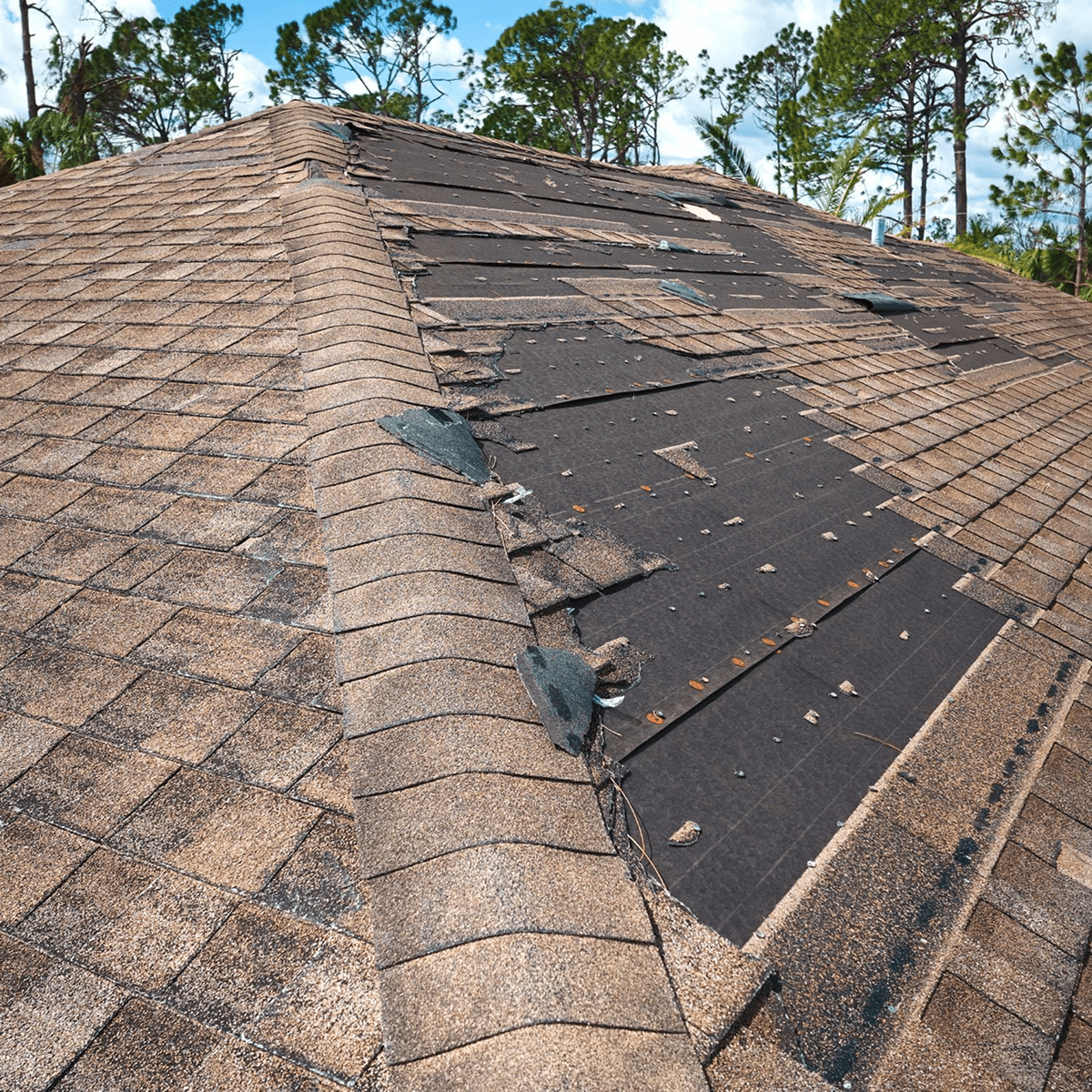 Residential Roof Repair Services Orlando FL Sunny Roofing