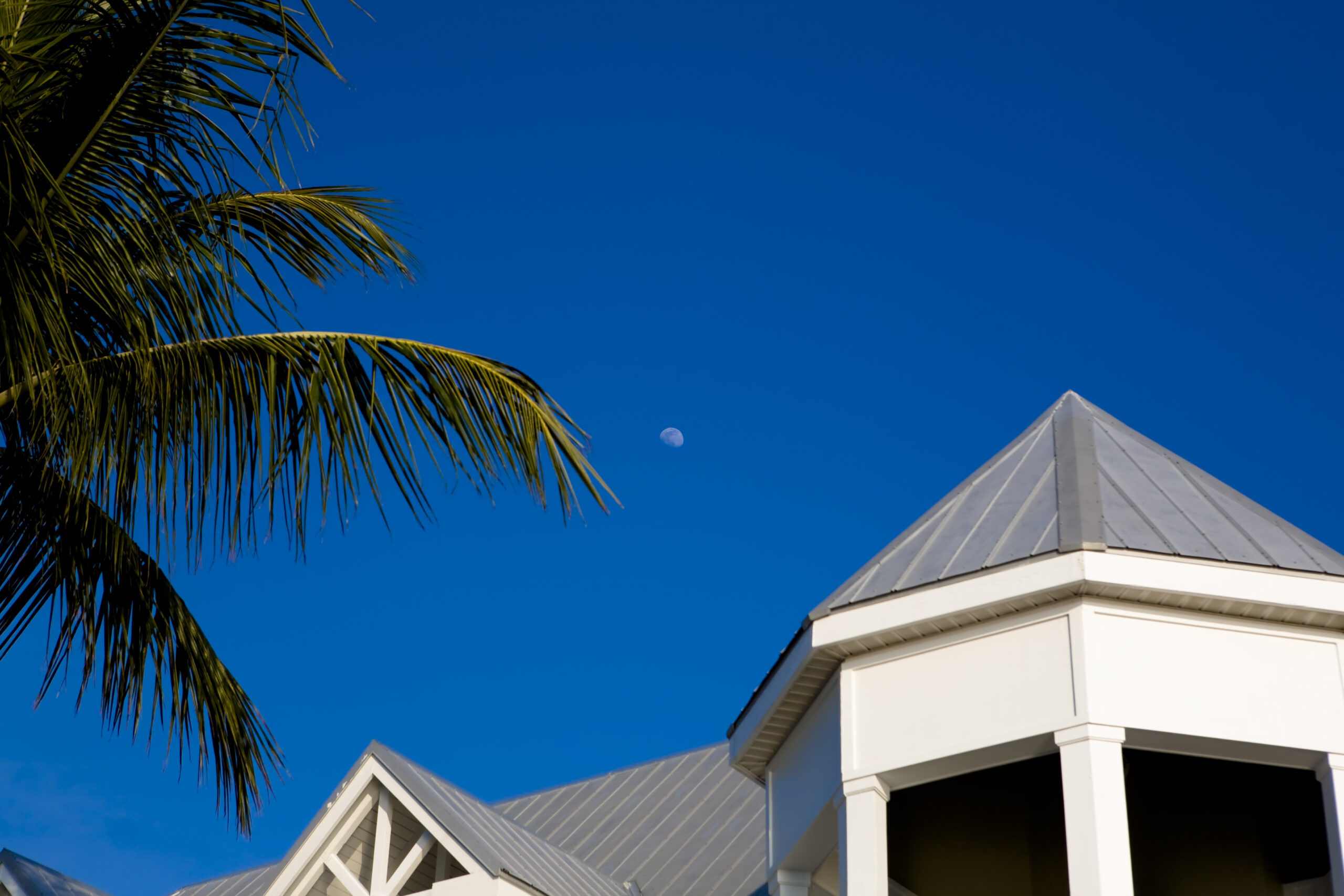 Metal Roof vs. Shingle Roof